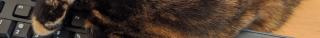 Self-cleaning test fixtures